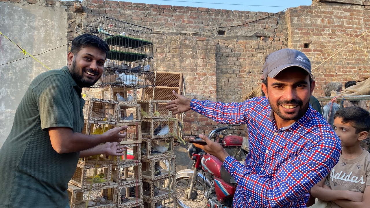 Уникальные птицы продаются на воскресном птичьем рынке в Шалимаре 😍 | @SarfrazLahori