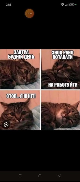 Меми з котами - YouTube