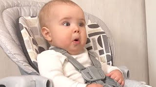8MonthOld Baby Is Shocked Because His Dog Can Fly!