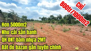 ONLY 800 MILLION VND/1000M2 for a garden plot with two road frontages in BR-VT, conveniently loca...