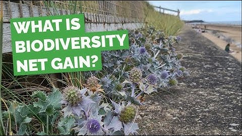 What is Biodiversity Net Gain?