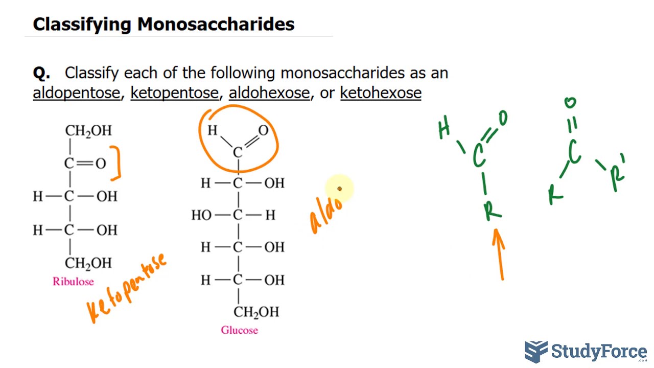 Classifying Monosaccharides YouTube