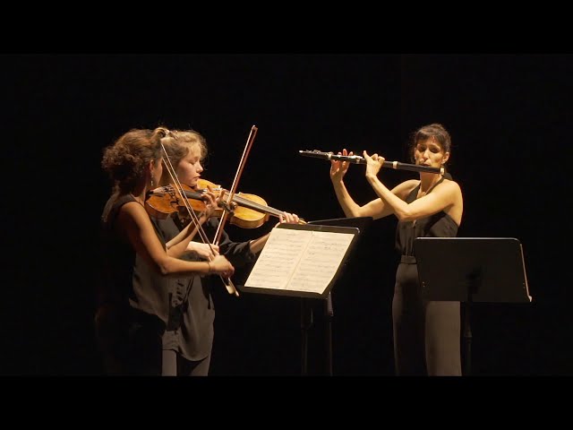 Beethoven - Sérénade pour flûte, violon et alto:1er mvt : P.Gallois / F.Laroque / P.Lénert