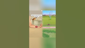 When You Put An X On A Bug Bite 🤣