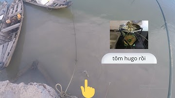 A Dìn Fishing // khu cần giờ  , điểm câu tôm càng , cá ngát , cá út và đụng ngay tôm hugo 300gam