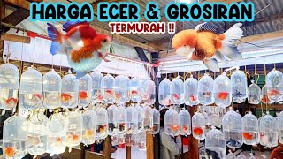 HARGA ECER & GROSIRAN TERMURAH‼️UPDATE HARGA MAS KOKI || PASAR IKAN HIAS PARUNG‼️