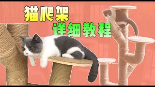 创意DIY猫爬架|可能是全网最详细简单的仙人掌猫爬架跳台制作教程