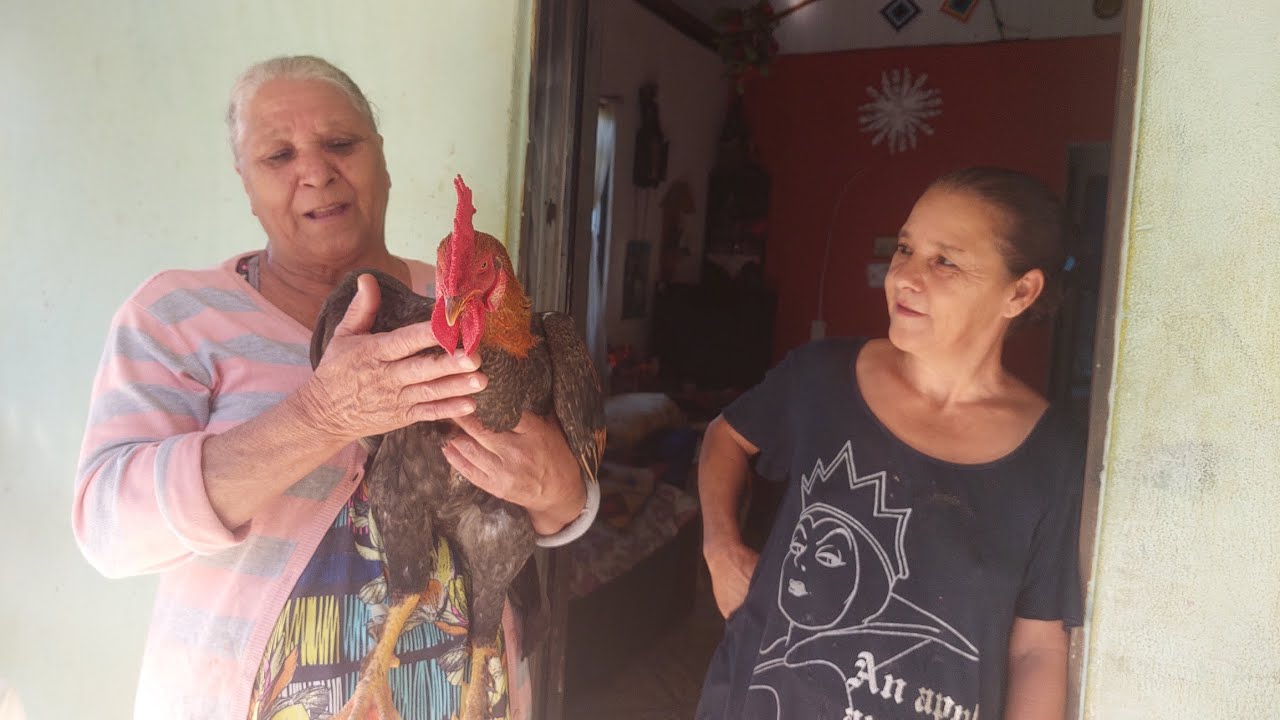 COMO ESTA A HORTA + FIZ COLORAU