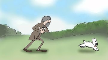 10 sec 2D Test animation