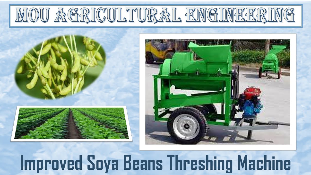 Improved Soya beans threshing machine technology YouTube