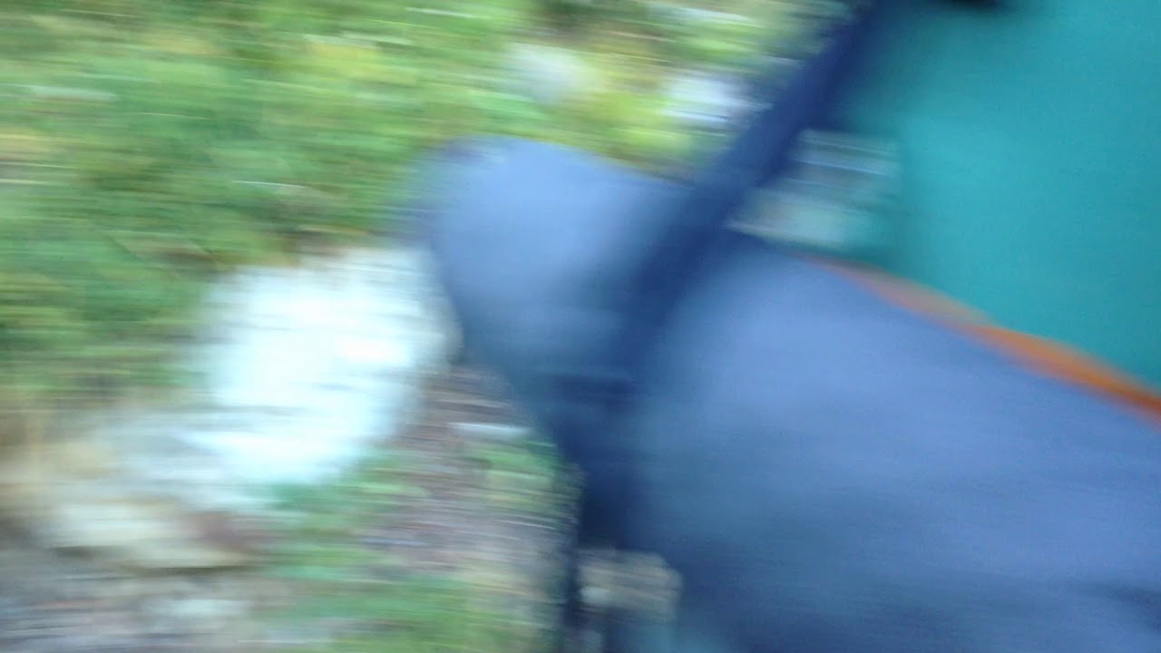 19 PCT marmots at woody pass