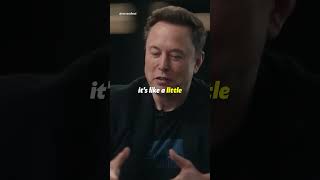 Elon explains to Jordan Peterson why he has so many children 😱