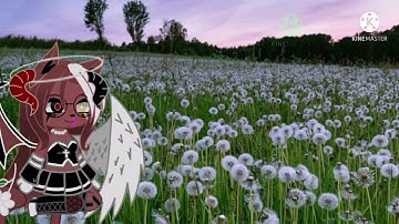 Part 12 dandelion Mep @anime. Wxsted thank you • Astetix yoru•  for intro