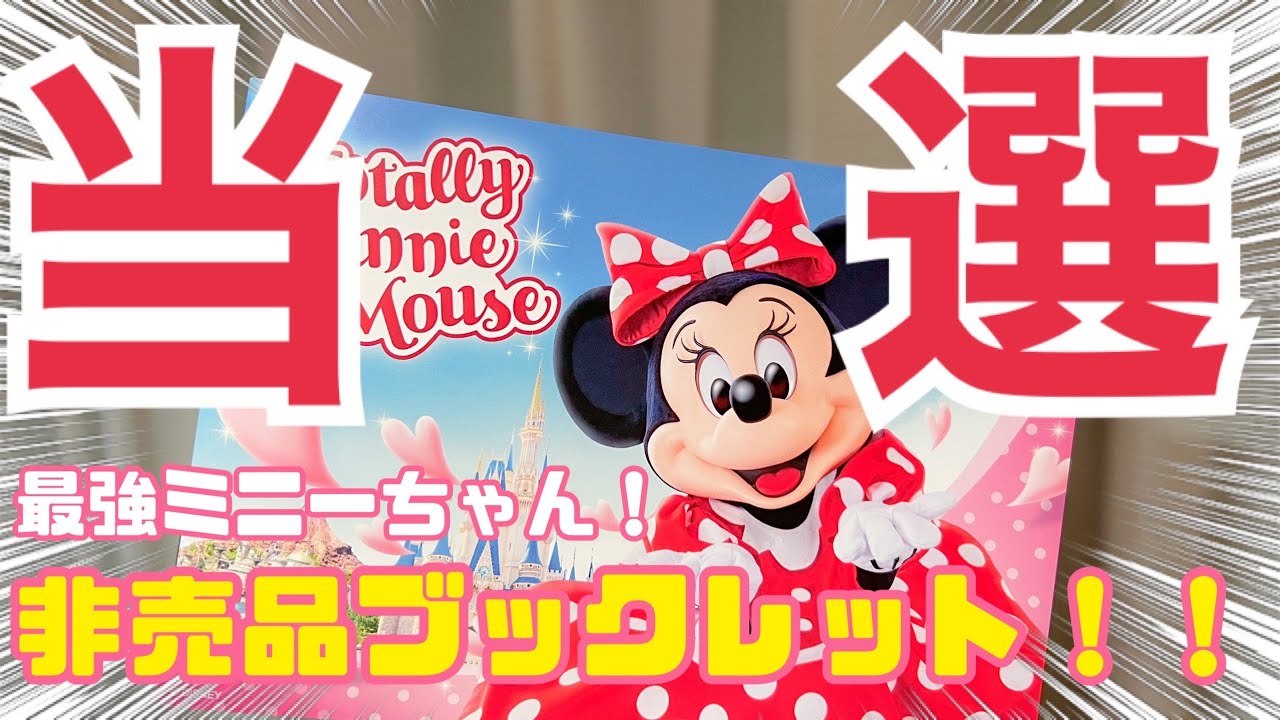 100%品質 トータリーミニーマウス 当選 ボックス その他 - www