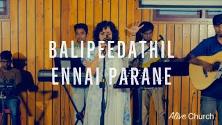 Video thumbnail of "Balipeedathil Ennai  Parane | LIVE | Shekhinah| Alive Church | 24 November 2019"
