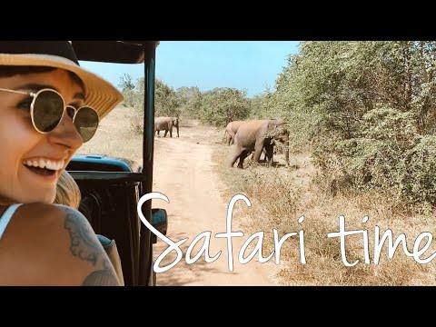 Video: Kur uz Safari Šrilankā