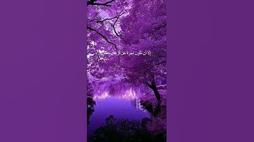 دقيقة من القرآن الكريم بصوت الشيخ ماهر المعيقلي سورة النساء #قرآن #religion #قرآن_كريم #قران