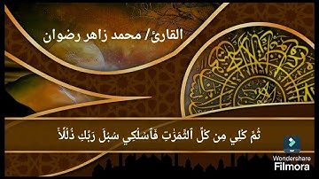 تلاوه قرانيه من صلاة التهجد | سورة النحل _ محمد زاهر رضوان