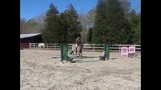 First time jumping vertical