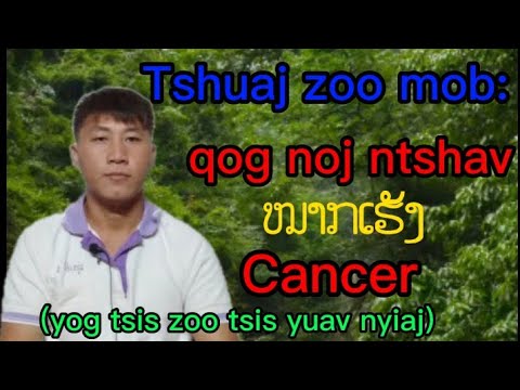 Video: PPS raug zam cov tsev kho mob qog noj ntshav li cas?