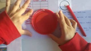 Çember-Dai̇re İli̇şki̇si̇ 6. Sinif