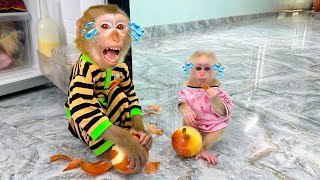Monkey Kaka and Monkey Mit cry when eating onions