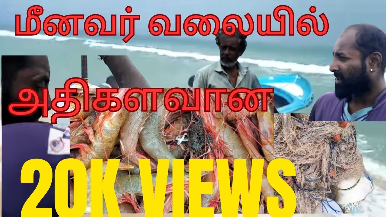 மீனவர்களுடன் நாங்களும் கடலுக்கு சென்று இறால் பிடித்தோம்