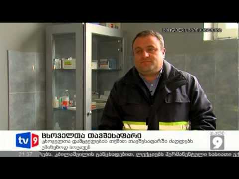 ახალი 9 | ცხოველთა თავშესაფარი | 15.03.13