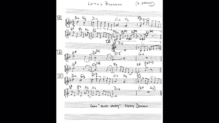 Lotus Blossom Bass Line Play Along Backing Track
