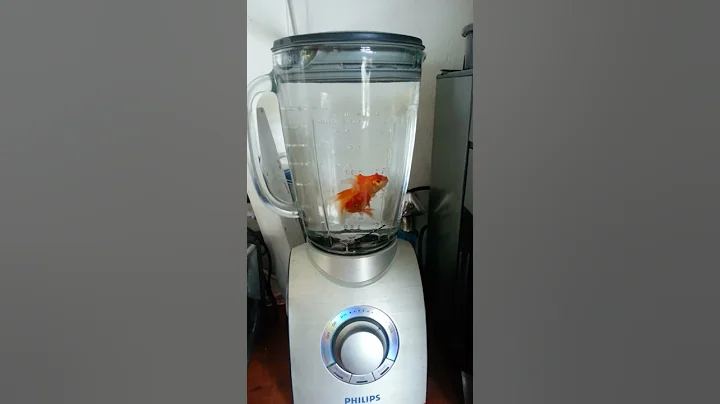 Fish in a blender - DayDayNews