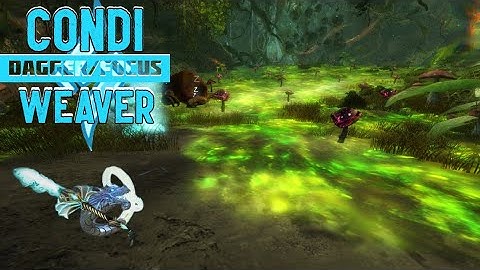 Guild Wars 2 - Slothasor Condi Weaver dagger/focus