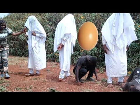 THIS WILL SHOCK YOU KIOKO COME OUT OF AN EGG MTUME SHOWS HIS POWERS TO PRINCESS