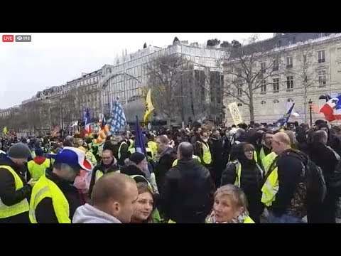 Gilets Jaunes acte 176 IRREDUCTIBLES France 09.03.2019 #GiletsJaunes #YellowVests