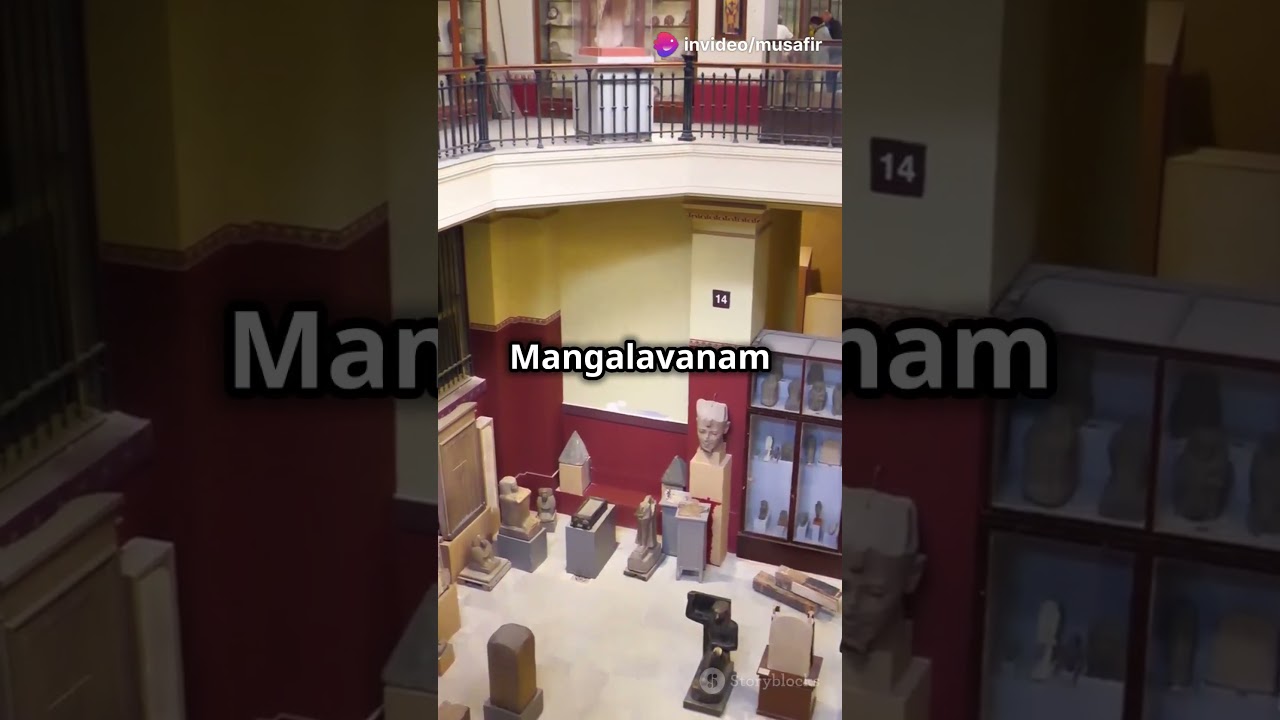 Kochi's Hidden Gems: Must-Visit Spots!