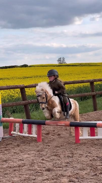 Ivy & the littlest pony ever. #horse #horseriding #equestrian #pony #horselover #trending #trend