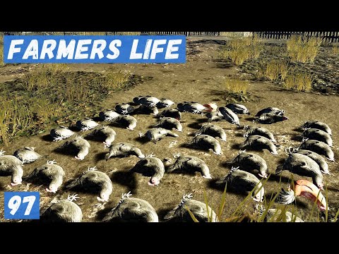 Видео: Farmer's Life - Десятки КУР ПОГИБЛИ.   Купил НОВЫХ КУР.   Вечером появился ПРИЗРАК # 97