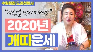 ★2020년 경자년 개띠 운세★ 개띠 여러분 사람을 쉽게 믿지 마세요 수원점집 수원유명한점집 도경천왕사 도경…