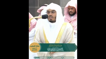 تلاوة خاشعة لسورة الفيل بصوت الشيخ ياسر الدوسري