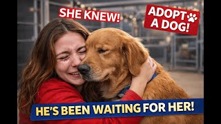 She Refused Every Family on Adoption Day. Then We Realized Who She Was Waiting For. 🐾✨