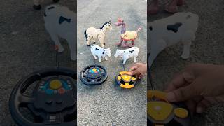 Remote Control 4 Ta Horse Dakso