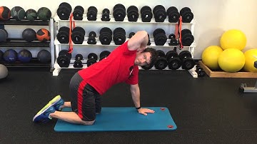 Quadruped External Rotation