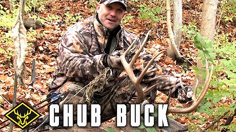 The Chub Buck | 180" Wild Whitetail falls into the TRAP!