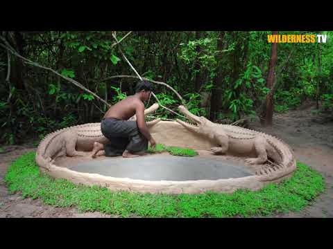 06 Build the Most Amazing Crocodile Pond For My Newborn Crocodile