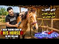 Village Horse Routine: Cleaning, Running & Feeding 🐎