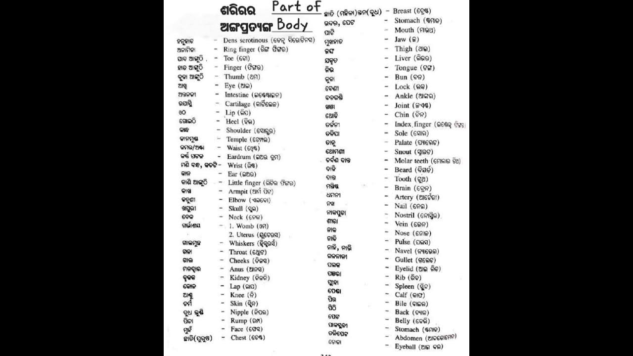 human-body-part-name-in-english-youtube