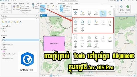 ការប្រើប្រាស់   Tools  នៅក្នុងផ្នែក Alignment   ក្នុងកម្មវិធី Arc GIS Pro