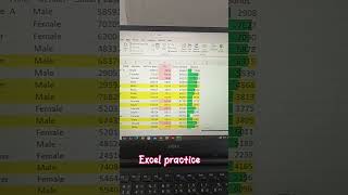 basic to advance excel in one sheet #puttar #chiku