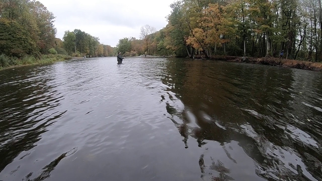 Chris Vella Fishing the Schoolhouse Pool Salmon River NY 2019 YouTube