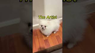 Masterpiece… and the Innocent Artist 😇🐕 #cute #funny #hamachi #pomeranian #smalldog #funnydogs