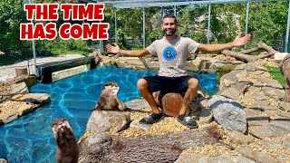 MASSIVE ENCLOSURE COMPLETED For Baby Pet OTTER! *INCREDIBLE*